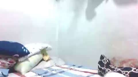 hotlavender online show from 01-27-25, 04:09