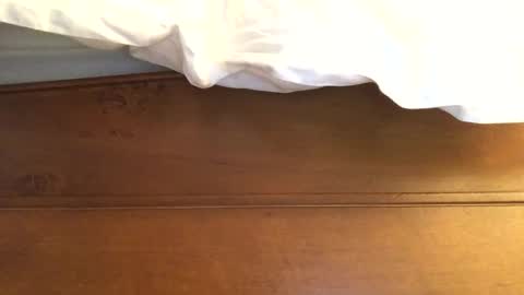 hotmuff99 online show from 02-11-25, 08:58