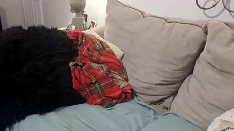 Snapshot of hotpepperrose chatting on 02-27-26, 02:33 hotpepperose online show from 02-27-26, 02:33