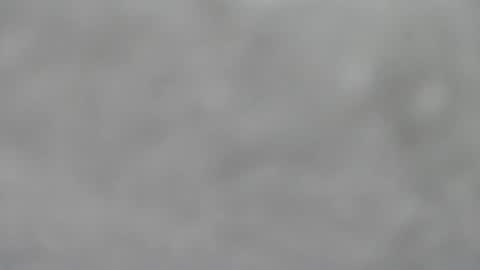 Slutty little female cat online show from 01-18-26, 05:33