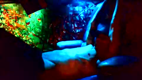 Snapshot of howbowdadareboy33 chatting on 01-12-25, 11:28 ask me online show from 01-12-25, 11:28