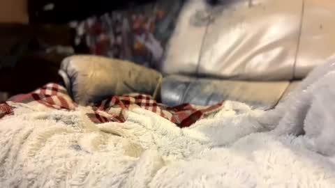 Snapshot of howbowdadareboy33 chatting on 10-11-25, 03:06 ask me online show from 10-11-25, 03:06