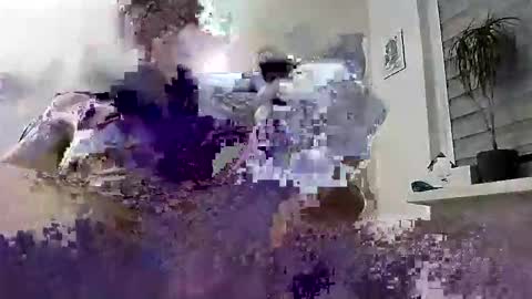 David online show from 03-04-26, 06:58