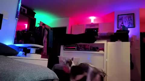 Snapshot of hugolandcam chatting on 02-25-25, 08:41 Hugo online show from 02-25-25, 08:41