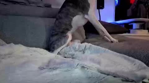 Snapshot of hugolandcam chatting on 03-10-25, 08:12 Hugo online show from 03-10-25, 08:12