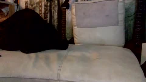 Snapshot of huippari chatting on 12-08-24, 10:30 huippari online show from 12-08-24, 10:30