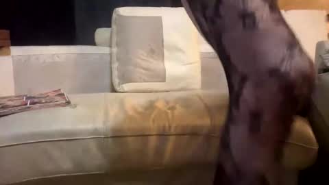 Snapshot of huippari chatting on 12-15-25, 11:09 huippari online show from 12-15-25, 11:09