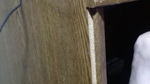 hungsofine online show from 12-29-24, 06:16