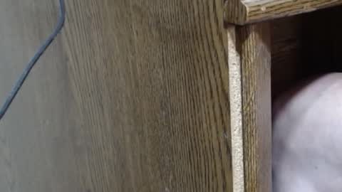 hungsofine online show from 02-16-25, 10:10