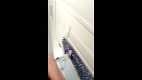 huskey300 online show from 01-09-26, 04:32