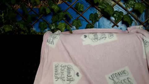 Snapshot of hustle6930 chatting on 12-07-24, 04:20 Kayla online show from 12-07-24, 04:20