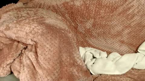 Snapshot of hustle6930 chatting on 12-11-24, 04:28 Kayla online show from 12-11-24, 04:28