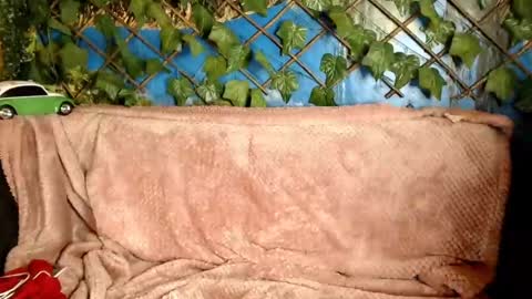 Snapshot of hustle6930 chatting on 12-21-24, 04:30 Kayla online show from 12-21-24, 04:30