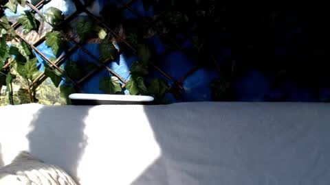 Snapshot of hustle6930 chatting on 03-03-25, 08:38 Kayla online show from 03-03-25, 08:38