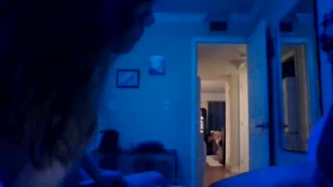 Goat  Lulu  Elektra online show from 02-14-25, 08:10