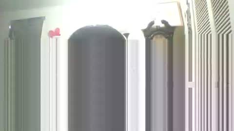 Snapshot of iamproprojectcandysugarbaby chatting on 09-13-25, 01:55 I LOVE  MY   COCONUT   EAT  MY   COCONUTS online show from 09-13-25, 01:55