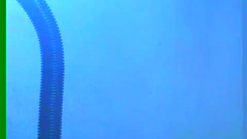 Samuel igsamuelnoguera 1333 online show from 12-18-24, 10:35