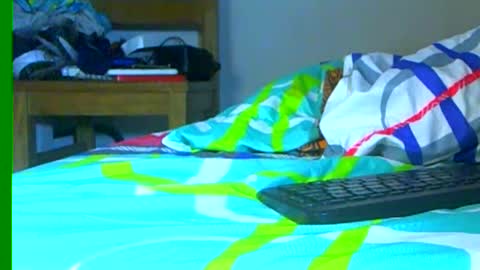 Samuel igsamuelnoguera 1333 online show from 12-28-24, 10:02