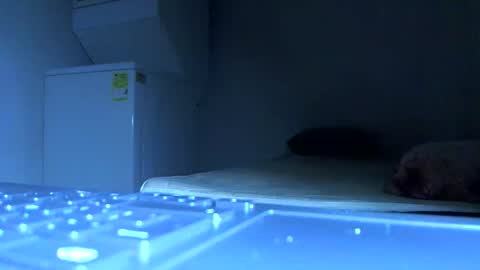 Samuel igsamuelnoguera 1333 online show from 10-21-25, 06:52