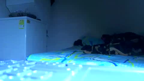 Samuel igsamuelnoguera 1333 online show from 10-24-25, 04:09