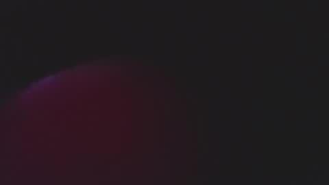  iara smith  online show from 02-15-26, 12:03