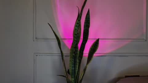 Crystall online show from 10-03-25, 05:37