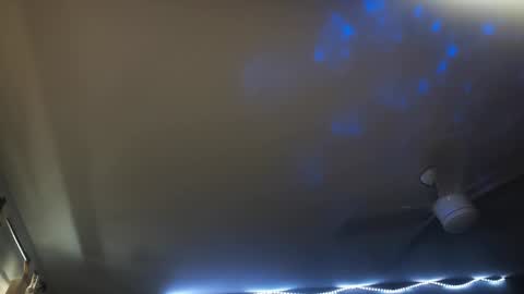 Ivan online show from 01-25-25, 05:51