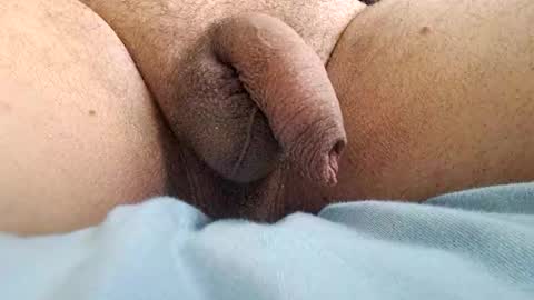 Snapshot of ikbenzo chatting on 12-08-24, 10:41 ikbenzo online show from 12-08-24, 10:41