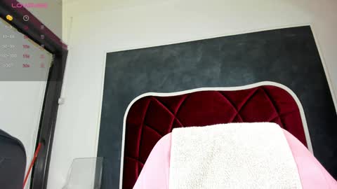 illegal_lorry online show from 01-31-25, 05:30