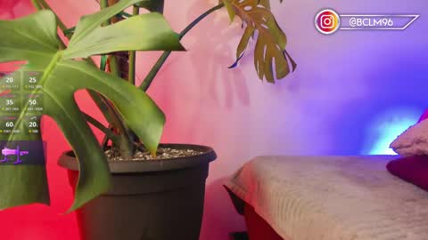 Snapshot of im_bryan chatting on 02-12-25, 05:47 Bryan online show from 02-12-25, 05:47