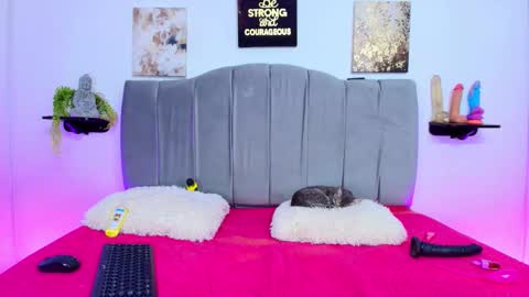 Snapshot of im_riley_ chatting on 10-08-25, 07:33 im_riley_ online show from 10-08-25, 07:33