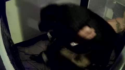 Snapshot of imtru chatting on 02-14-25, 04:04 imtru online show from 02-14-25, 04:04