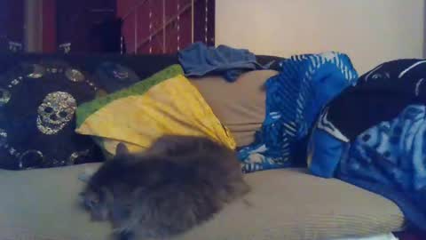 indigo_scorpio online show from 01-30-25, 09:15