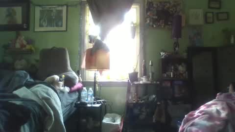 indigo_scorpio online show from 02-05-25, 06:48