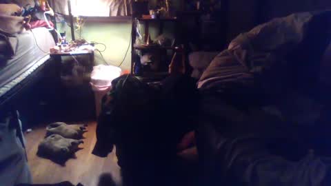 indigo_scorpio online show from 03-04-25, 02:06