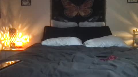 Indigo Bay online show from 02-16-25, 07:26