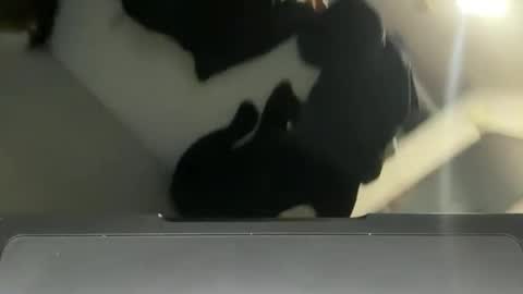 Lucas online show from 12-02-24, 10:23