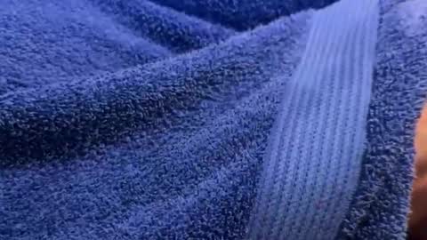 intressiert online show from 12-30-24, 01:25