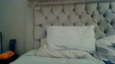 Snapshot of introducingthebrilliance chatting on 01-14-25, 04:15 WillyTripleXxx online show from 01-14-25, 04:15