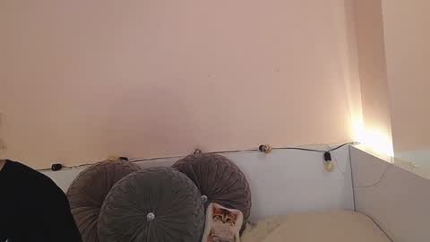 Snapshot of isabella__dark chatting on 12-21-24, 12:42    online show from 12-21-24, 12:42