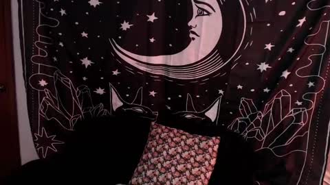 Snapshot of isabella__dark chatting on 01-07-25, 01:17    online show from 01-07-25, 01:17
