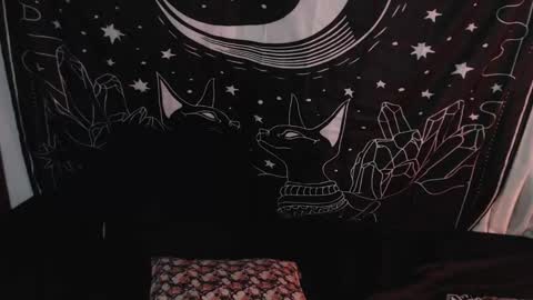 Snapshot of isabella__dark chatting on 01-08-25, 01:42    online show from 01-08-25, 01:42