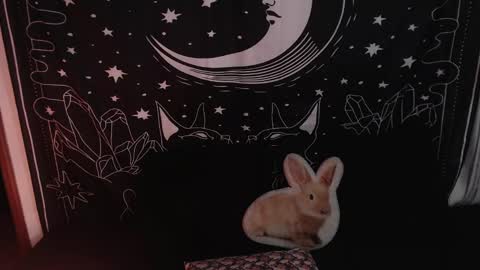 Snapshot of isabella__dark chatting on 01-23-25, 12:14    online show from 01-23-25, 12:14