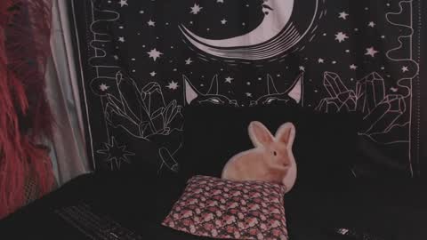 Snapshot of isabella__dark chatting on 01-29-25, 11:14    online show from 01-29-25, 11:14