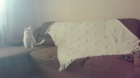 Snapshot of issabelle_69 chatting on 10-30-25, 07:10 Issabelle online show from 10-30-25, 07:10