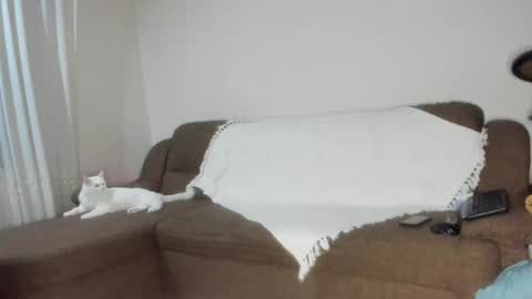 Snapshot of issabelle_69 chatting on 11-06-25, 06:25 Issabelle online show from 11-06-25, 06:25