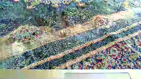 its_me_2323 online show from 10-05-25, 07:28