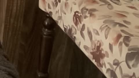 Raje online show from 11-11-25, 10:59