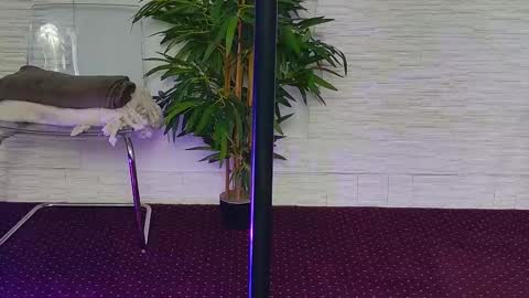 Snapshot of ivoryswan chatting on 11-03-25, 05:31 Celine online show from 11-03-25, 05:31