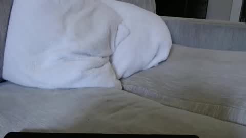 Snapshot of j335129 chatting on 12-01-25, 06:13 James online show from 12-01-25, 06:13